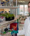 Stig Uggerhøj Andersen fra Institut for Molekylærbiologi og Genetik, Sektionen for Plantemolekylærbiologi på Aarhus Universitet, og hans kollegaer starter nu projektet NCHAIN